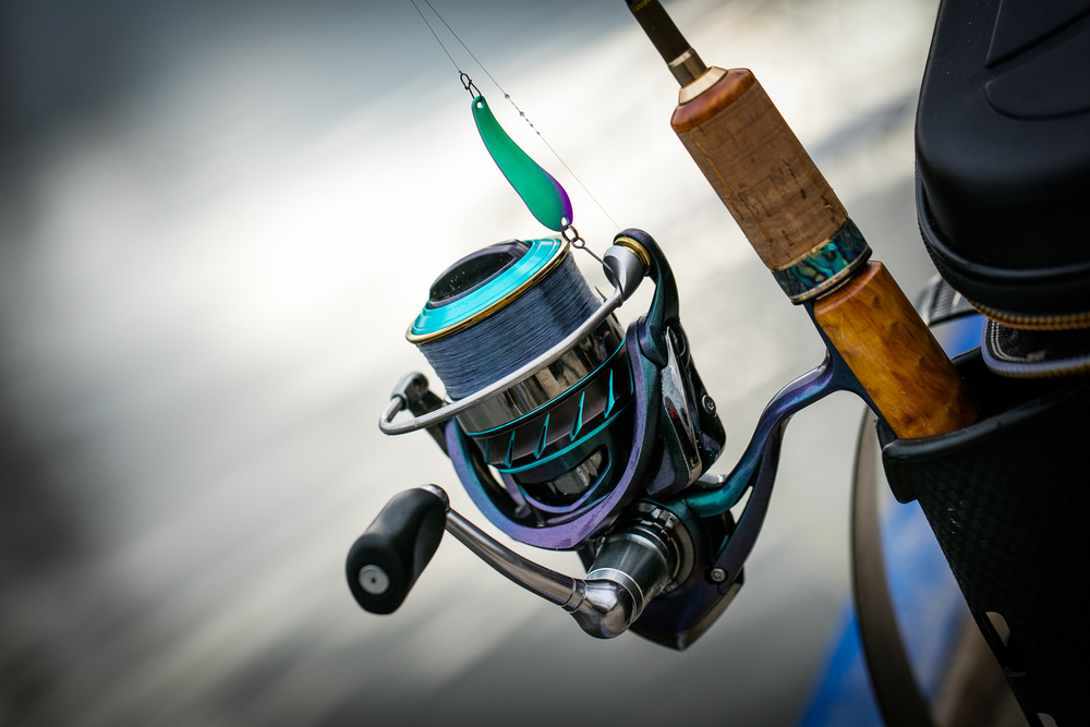 Getting Started with Saltwater Fishing - Call of the wild