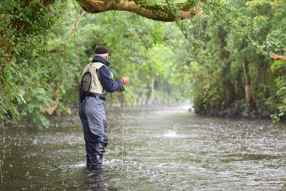 Fly-fisherman catching trout in river, under the rain
